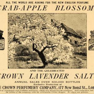 1893 Ad Crown Perfumery Co. Apple Blossom Tree Perfume - ORIGINAL LHJ4 Cheap Low Pice