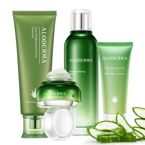 Essential Aloe Brightening Set Discount View
