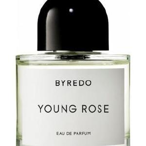 Young Rose Amazing Pice Cheap Online