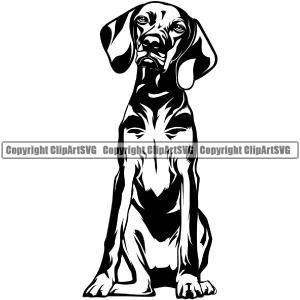 Vizsla Sitting Dog Design Element Puppy Pup Head Purebred Pedigree Canine K-9 K9 Animal Portrait Doggy Smile Face Cute Body Vector Clipart SVG Free Shipping Best Place