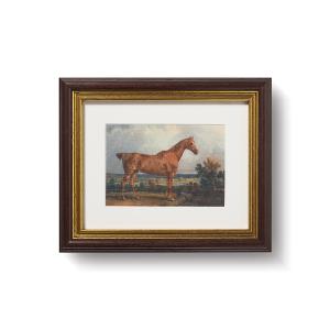 Andover Looking For Sale Online