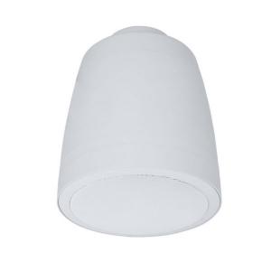 Lowell ESP-62TW 6-1/2 Inch Coaxial Pendant Speaker, Single Unit Big Discount Online