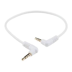 Audio Cable TRRS - 1ft Enjoy Online