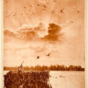 1923 Rotogravure Duck Hunting Blind Hunter Game Birds Sport Shooting Wildlife Sale Original