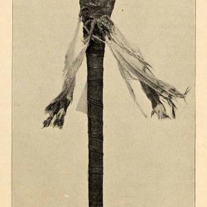 1910 Print Ceremonial Flint Knife Peabody Museum Salem Massachusetts XGT1 Cheap Sale Popular