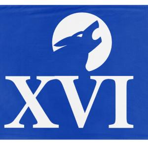 16th Army flag (Western Union) Good Selling Sale Online