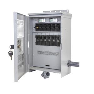 Reliance Controls R306A Pro/Tran 2 Transfer Switch, 125/250 Volt, 7500 Watts Clearance Wide Range Of