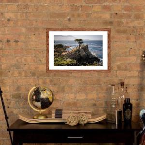 Lone Cypress Tree, KB147 Low Cost Cheap Online