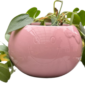 90s Mauve Pink Smiley Face Plant Pot Sale Online Cheap
