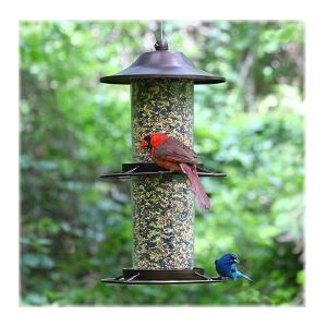 Birdscapes 325S Panorama Wild Bird Feeder, 4.5 Lbs Buy Cheap Clearance Store