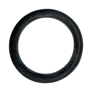 Hayward (SPX0735G) Valve Stem O-Ring || O-276-BAGGED Outlet Extremely