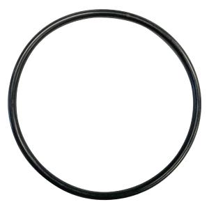 Hayward (SPZ0724G) End Connector O-Ring || O-275-BAGGED Low Shipping Cheap Pice