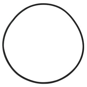 Hayward (SX160Z1) Sand Filter tank O-Ring || O-339-BAGGED Sale Low Pice Fee Shipping