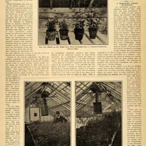 1907 Article Plant Culture via Electricity Greenhouse - ORIGINAL SCA1 Authentic Online