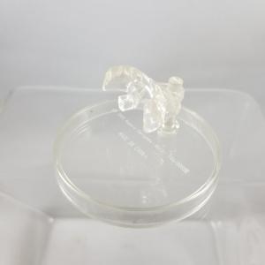 124 -Haruhi's Stand Finishline Cheap Online