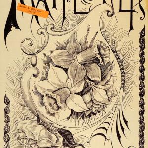 1896 Cover Narcissus Flower Plant Daffodil Garden Bulb - ORIGINAL MAY1 Outlet Nicekicks