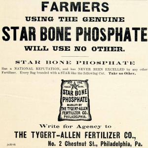 1896 Ad TygertAllen Fertilizer Star Bone Phosphate 2 Chestnut St CCG1 Authentic