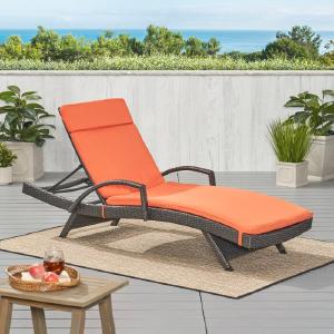 Orange Darby Home Co Outdoor Seat/Back Cushion Cheap Browse