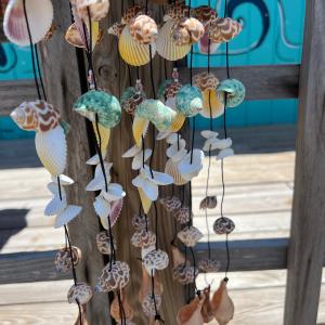Bamboo Shell Windchime 2025 Newest