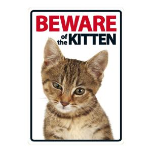 Beware of the Kitten Sign Clearance Footlocker Pictures