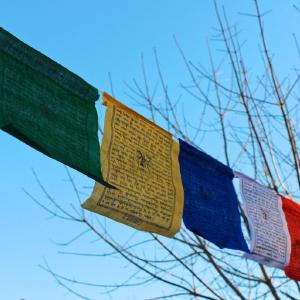 Windhorse Success Set of 25 Prayer Flags New For Sale