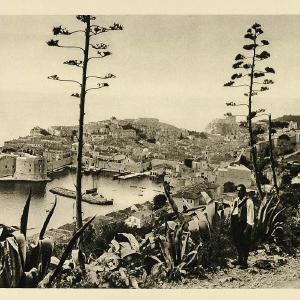 1935 Dalmatian Coast Croatia Adriatic Sea Dalmatia - ORIGINAL PHOTOGRAVURE PTW1 Sale Geniue Stockist