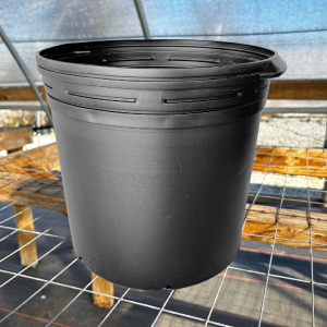 10 Gallon Full Black Nursery Pots Best For Sale
