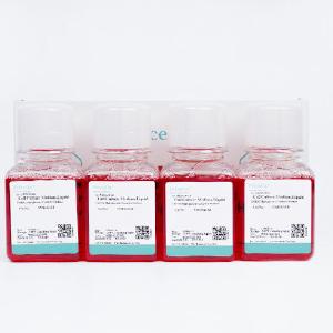 C918 Cells Complete Medium Free Shipping Online