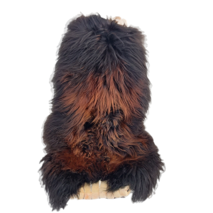 Islandsk flamme -str.XXL-135/140cm-Gratis frakt. Cheap Sale Looking For