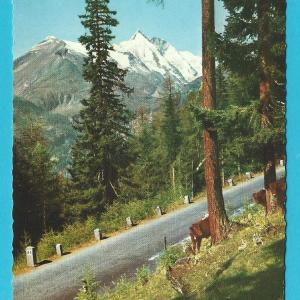 AK Grossglockner Hochalpenstrasse. Auffahrt Sdrampe mit Grossglockner. Online Online Outlet Sale