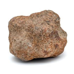 Dinosaur Dung (Coprolite) - 7.79 lb 20.5" CIRCUMFERENCE Countdown Package Online