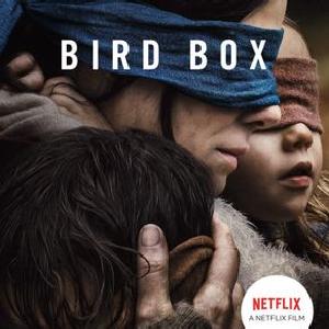 Bird box (Pocket) Visit Sale Online