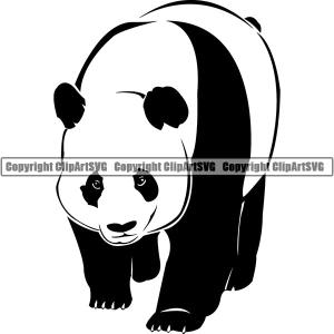 Panda Bear Animal ClipArt SVG Real For Sale