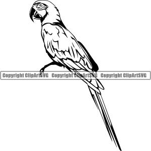 Parrot Bird Animal ClipArt SVG Top Quality For Sale
