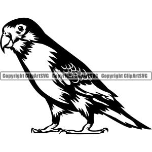 Parakeet Bird Animal ClipArt SVG Cheap Pice For Sale