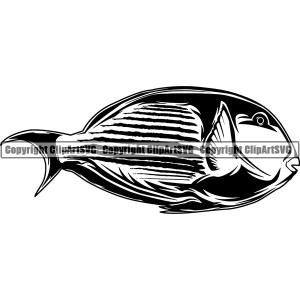 Parrot Bird Animal ClipArt SVG Sale Geniue Stockist