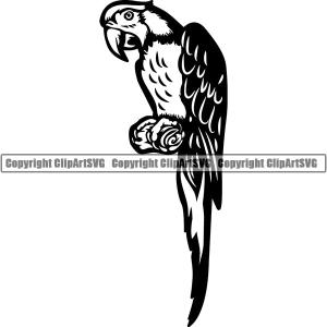 Parrot Bird Animal ClipArt SVG Buy Cheap Cheapest