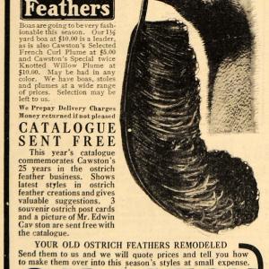 1911 Ad Feather Boas French Plume Cawston Ostrich Farm - ORIGINAL EM1 Sale Shop