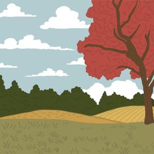 Honey Bee Stamps - Stencils - Farmhouse Fields Layering Sale Cheapest