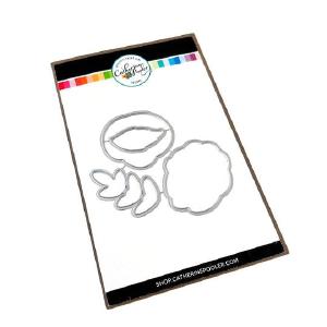 Catherine Pooler Designs - Dies - Perfect Peonies Visa Payment