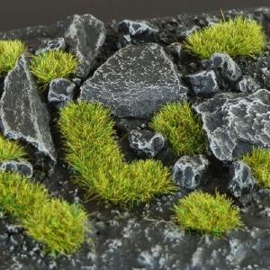 Moss 2mm Wild Discount Shop For