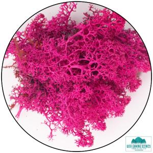 Lichen - Reindeer Moss (Icelandic Moss) Cherry Blossom Clearance Wide Range Of