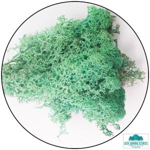 Lichen - Reindeer Moss (Icelandic Moss) Pacific Green Cheap Sale Discounts