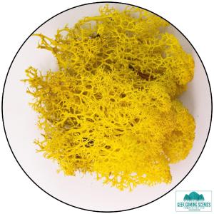 Lichen - Reindeer Moss (Icelandic Moss) Yellow Discount Online Online