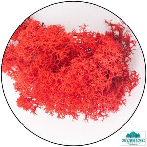 Lichen - Reindeer Moss (Icelandic Moss) Red Official Site Sale Online