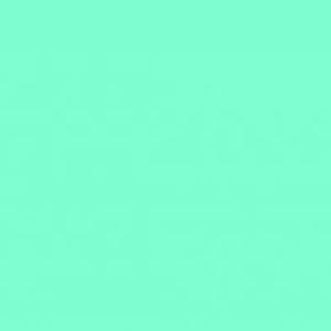 Mint 432 (sold by the yard) Cheap Sale New