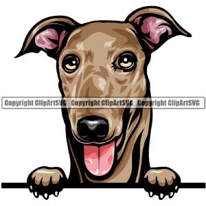 Greyhound Dog Breed Peeking Color ClipArt SVG Buy Cheap With Paypal