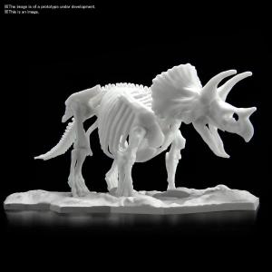 Triceratops Limex Skeleton Cheapest Online