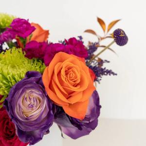 Halloween Hocus Pocus DIY Flower Kit Discount Cost