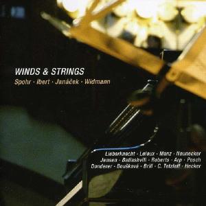 Winds & Strings Clearance Online